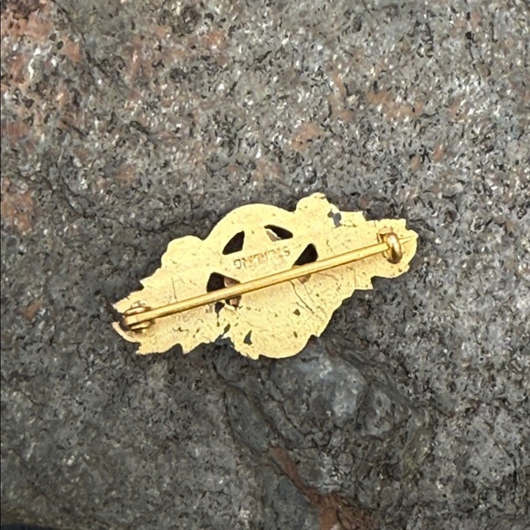 Antique Elks Lodge BPOE (Benevolent and Protective Order of Elks) lapel pin - Picture 4 of 5